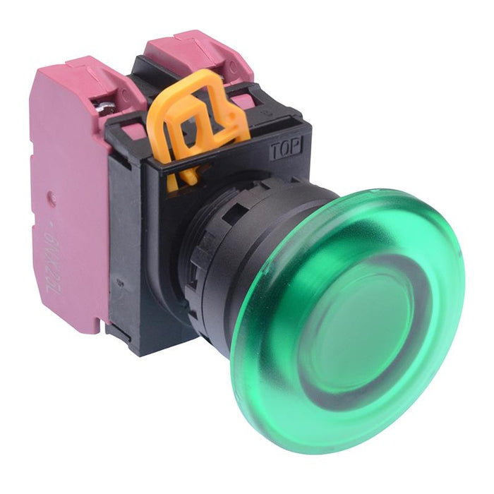 YW1L-M4E02Q3G Green 12V illuminated 22mm Mushroom Momentary Push Button Switch 2NC IP65 IDEC